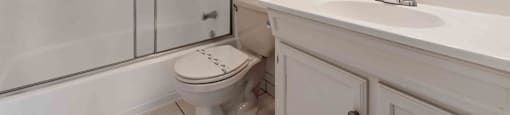 a bathroom with a sink toilet and a shower