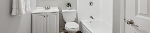 a bathroom with a shower toilet and a sink