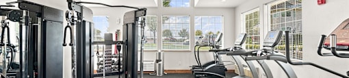 A gym with treadmills, weights, and a fan.