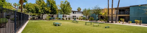 Pet-friendly outdoor courtyard at Sono Tempe Apartments in Tempe, Arizona with open green space for residents and pets.