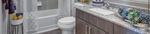Pet Friendly Apartments in Georgetown Texas - Williamson at the Overlook - Full Bathroom with Shower, Tub, Toilet, Wood-Style Flooring, Grey Themed Cabinetry and Tile, Framed Mirror, and Granite Sink