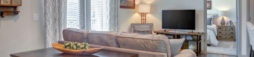 Georgetown, Texas Apartments for Rent - Williamson at The Overlook - Living Room Area with Comfortable Couch, Standing Lamp, and Area Rug
