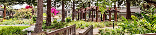 Apartments in Santa Clara, CA - Hidden Lake - Bridge Crossing a Creek on Walking Path Surrounded by Trees, with view of BBQ Area, Pool, and Apartment Buildings