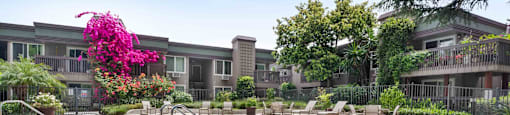 1-Bedroom Apartments in Santa Clara, CA - Hidden Lake - Swimming Pool with Lounge Seats, Tables, Chairs, and Surrounding Plants and Trees.