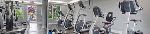 Pet-Friendly Apartments in Santa Clara, CA - Hidden Lake - Fitness Center with Cardio Machines, A Large Mirrored Wall, Dumbbells, and Weight Lifting Machine.