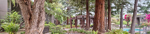 Apartments in Santa Clara for Rent - Hidden Lake - Landscaped Courtyard With Mature Trees, Rock Lined Creek, Walking Paths, Pool Area, And Shaded Picnic Structure.