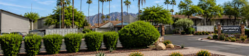A street view of a residential area with palm trees and a sign that reads "Midtown.".