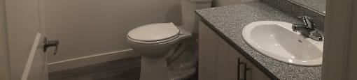 New Apartments in Downtown Phoenix, AZ - VB on 12th Street - a Bathroom with Hardwood-Style Flooring, a Granite Countertop Sink with Sand Colored Cabinetry, and a Large Mirror.