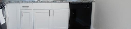 The Element at River Pointe apartments in Jacksonville Florida photo of kitchen