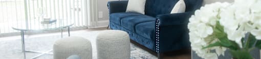 The Element at River Pointe apartments in Jacksonville Florida photo of living room
