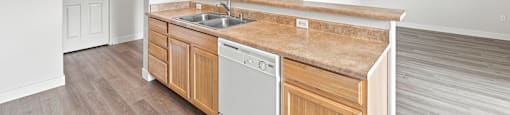 A kitchen with a sink and a dishwasher.