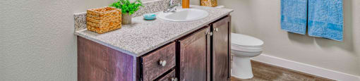 Vanity Lights at LIV at Boerne Hills an Active Senior Community 62+, Boerne