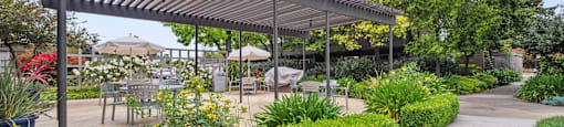Fremont Apartments - Logan Park - Grill Area with Pergola, Tables, Chairs, Umbrellas, Trees, and BBQs