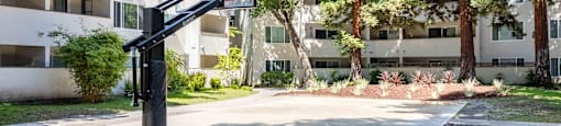 Studio Apartments in Fremont, CA - Northgate Savoy - Outdoor Basketball Half-Court Surrounded by Landscaping, Large Trees, and Apartment Buildings.
