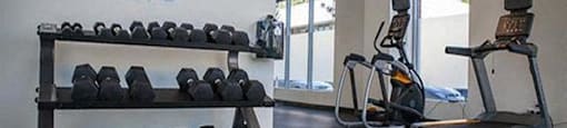 Studio Apartments in Portland, OR - The Beverly - Fitness Center with Free Weights, Treadmill, Elliptical Machine, and Expansive Windows.