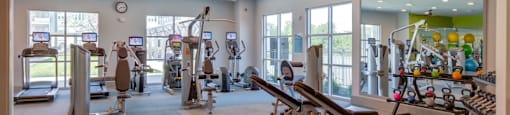 Dog-Friendly Apartments in Georgetown, Texas - Williamson at The Overlook - Fitness Center with Free Weights, Stationary Gym Equipment, and Bench Presses