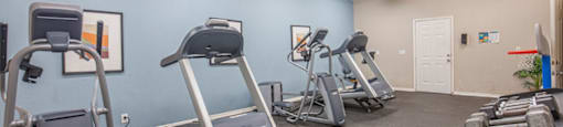 The Element at River Pointe apartments in Jacksonville Florida photo of fitness center