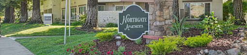 our apartments are located in the heart of the city