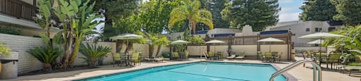 a swimming pool with trees and a building in the background