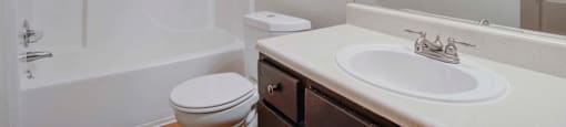 Bathroom with shower and tub at Place at Midway apartments in Douglasville near Lithia Springs, GA