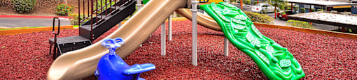 A playground with a green slide and a blue slide.