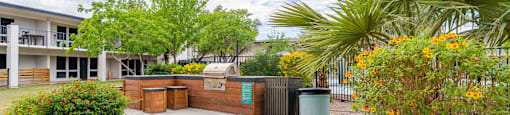 A gravel area with a building in the background and a palm tree in the foreground.