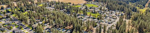 a aerial view of a neighborhood of trees and houses
