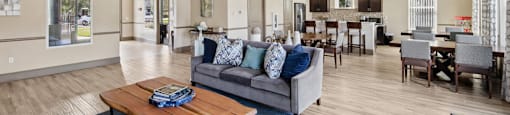 A spacious living room with a blue rug and a grey couch.