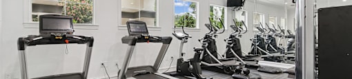 A gym with treadmills, elliptical machines, and a weight machine.