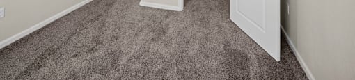A room with carpeted floor and two open doors.