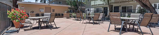 Apartments for Rent in Milpitas, CA - Spring Valley - Gated BBQ Area with Tables, Chairs, Grilling Station, Potted Flowering Plant, and Surrounding Trees.