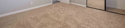 Apartments Milpitas - Spring Valley - Spacious Bedroom With High Ceilings, Ceiling Fan, Carpet Flooring, And Large Closet With Mirrors