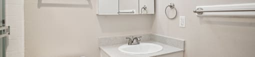 a bathroom with a sink and a toilet and a mirror