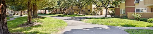 Apartments Near Lake Elizabeth - Lincoln Glen - An exterior shot of a tree-lined street between two apartment buildings with trees
