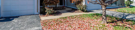 a tree with red leaves in front of a house