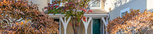 the front yard of a house with a tree in the center