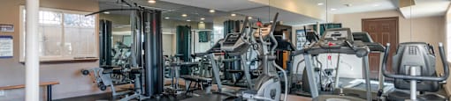 the gym is equipped with cardio equipment and weights