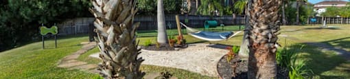 Apartments for Rent in League City, TX - Anchor at South Shore - Relaxing Green Space with Grass, Palm Trees, a Hammcok, and a Pathway with a Dog Park in the Background