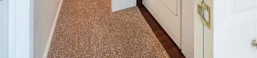League City, TX Apartments - Anchor at South Shore - Carpeted Hallway with White Walls, a Bedroom at the End of the Hall, and a Closet with In-Unit Laundry Machines