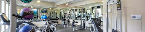 a gym with weights and cardio equipment in a home gym
