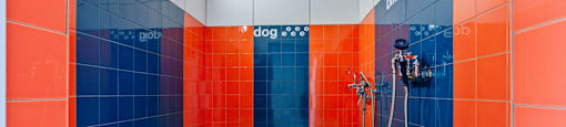 A bathroom with red and blue tiles and a white shower head.