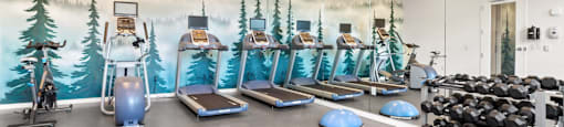 A gym with a wall mural of a forest scene.