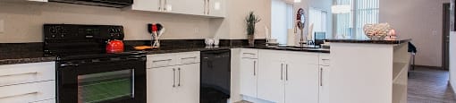 Large kitchens furnished with sleek appliances