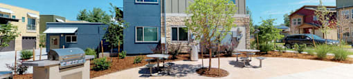 Community picnic area with BBQ island
