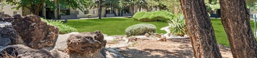 a view of a park with trees and rocks