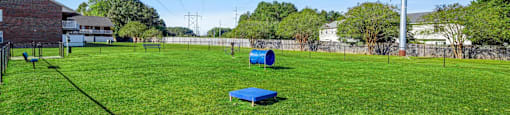 A grassy field with a blue object in the middle and a pole on the right.