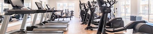 a row of treadmills and ellipticals in a gym
