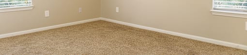a bedroom with two windows and a carpeted floor