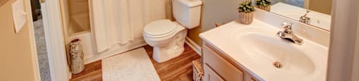 a bathroom with a shower toilet and sink and a mirror