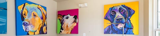 a patient room with three paintings of dogs on the wall